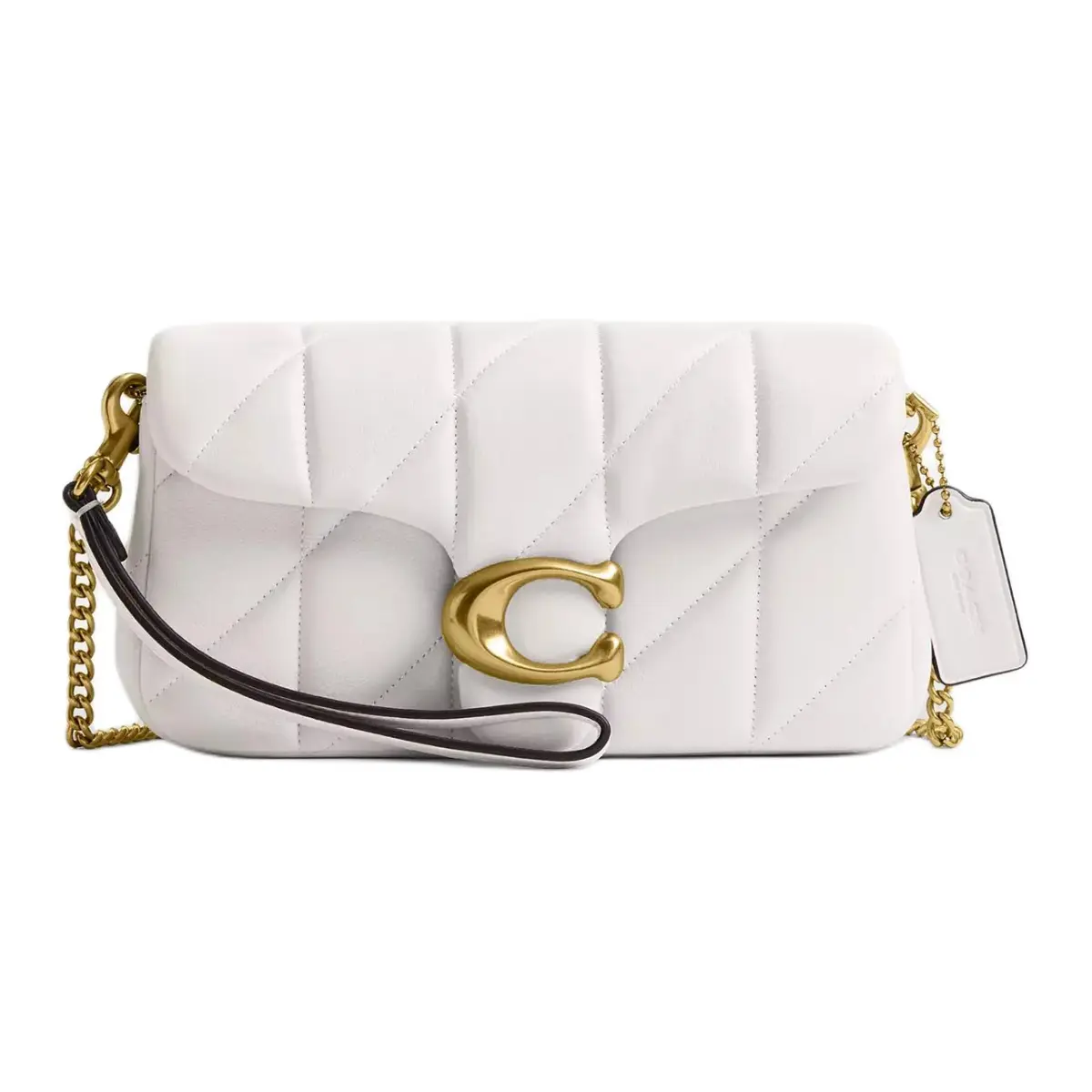 COACH Chain Leather Shoulder Bags Small Women's Lime Gray