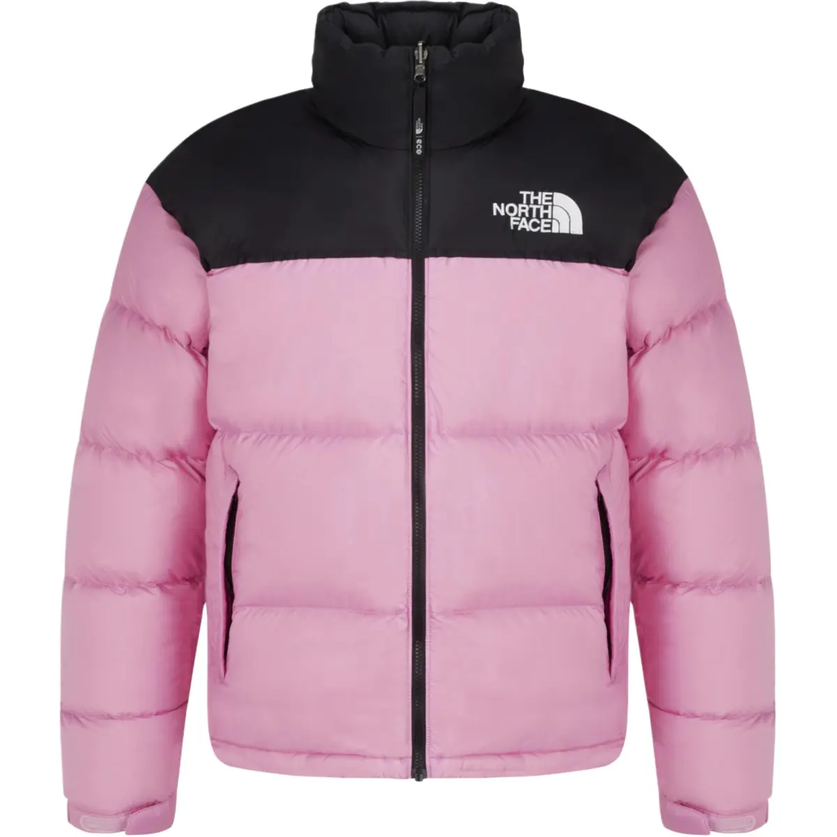 THE NORTH FACE 1996 Down Jacket Men's