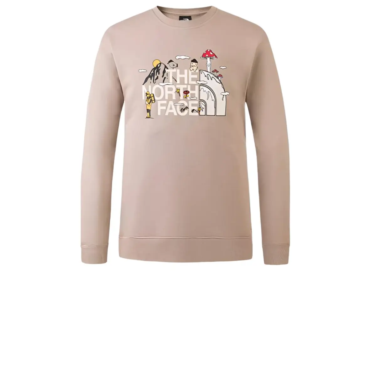 THE NORTH FACE Sweatshirt Unisex Brown