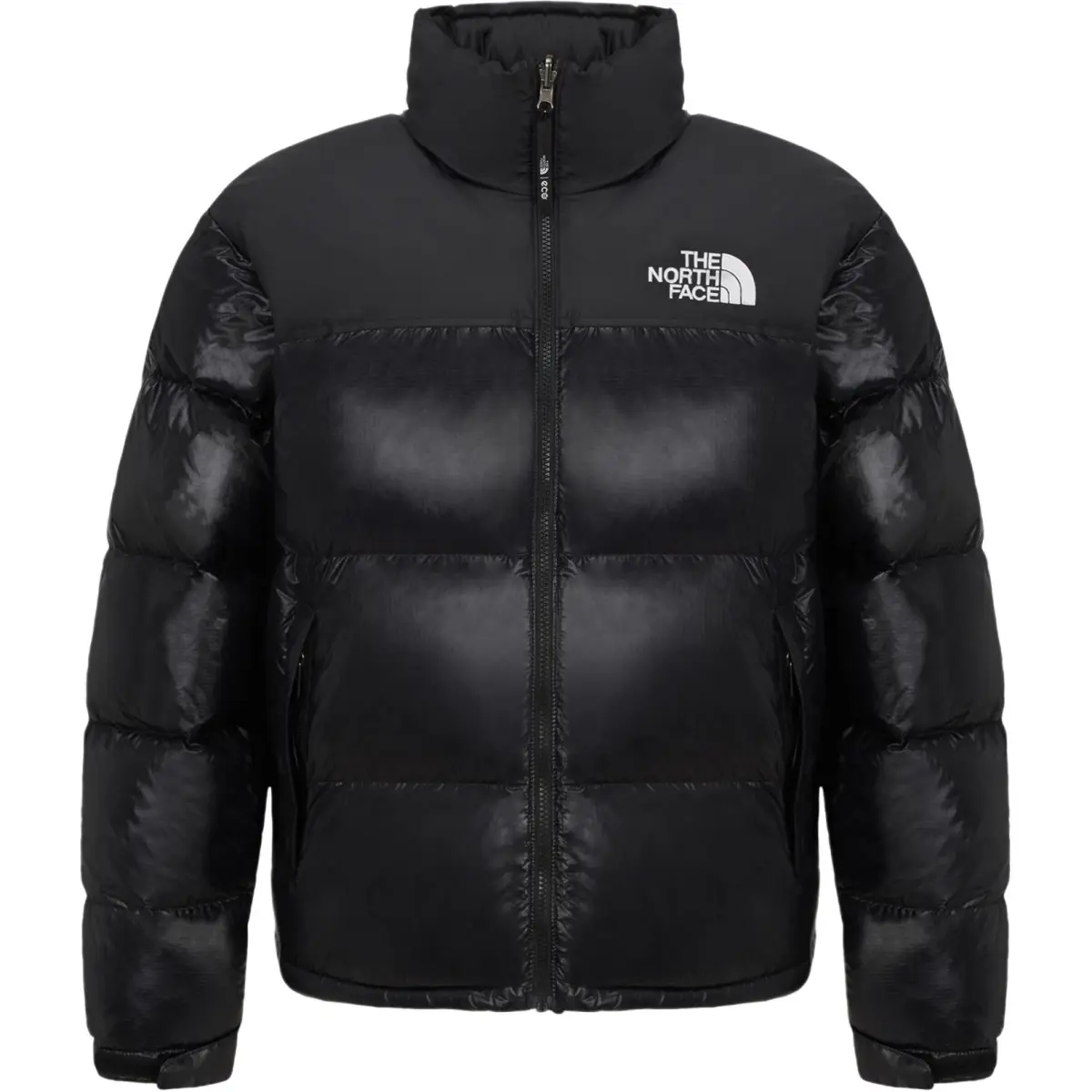 THE NORTH FACE 1996 Down Jacket Men's