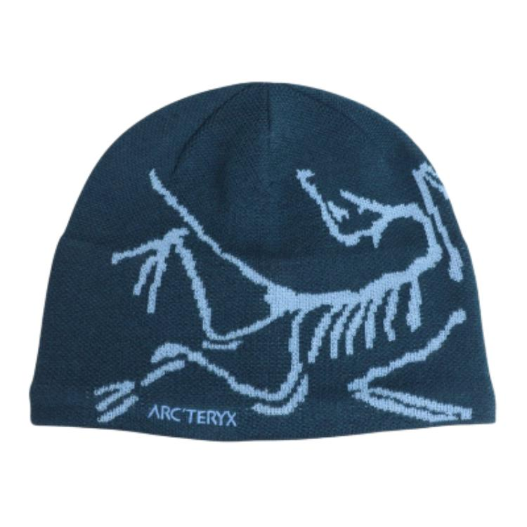 Шапка Arcteryx (синяя)