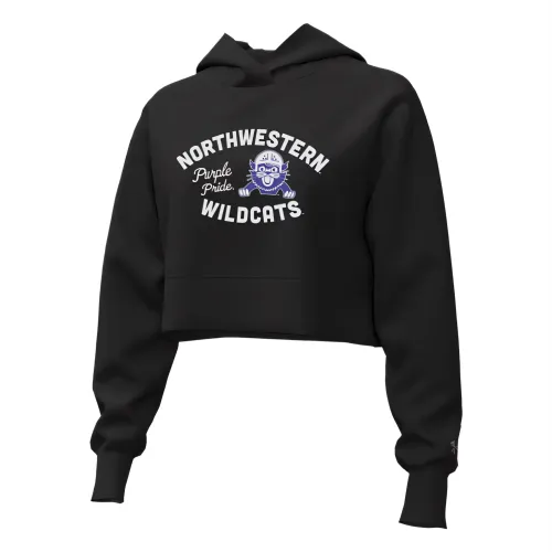 Under Armour Rival Fleece Sweatshirt Women's