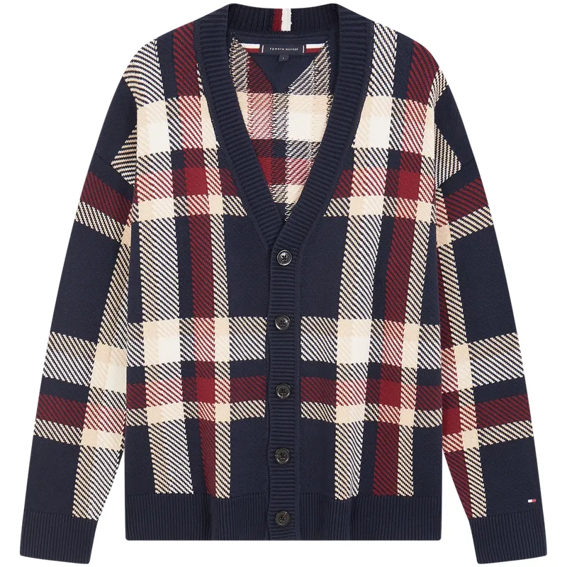 Tommy Hilfiger Knitwear Men's Multicolor Plaid 0MW V-neck Moderate Straight Fit