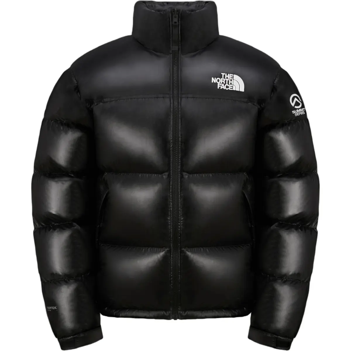 THE NORTH FACE Down Jacket Men's