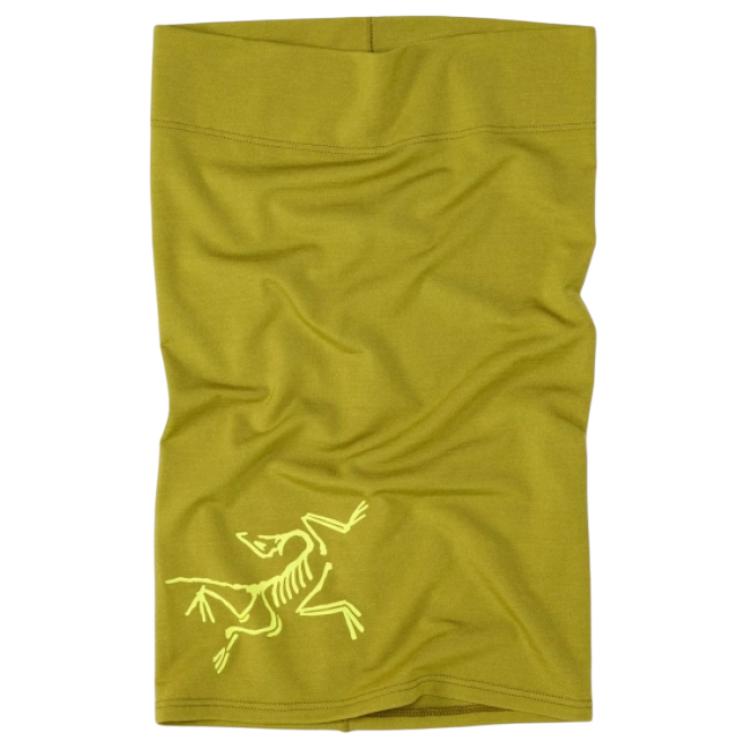 Женский Arcteryx (зеленый)