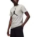Jordan Apparel T Shirts Men's Gray Crew Neck