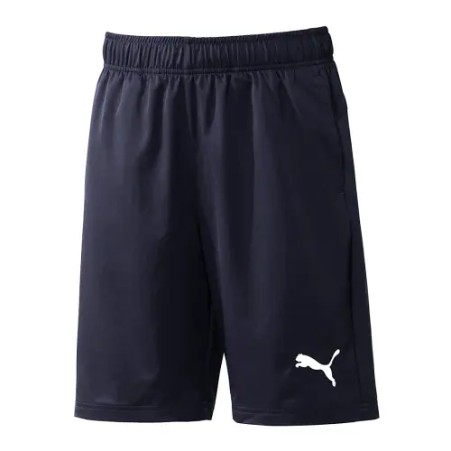 PUMA Nature Camp Casual Shorts Men's Blue