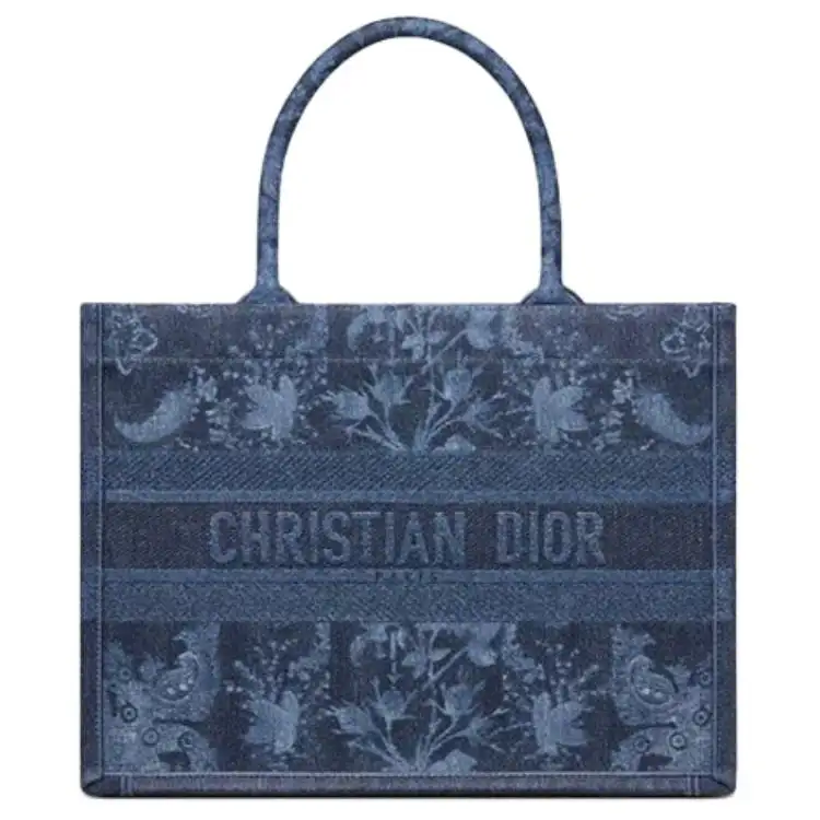 DIOR BookTote Canvas Tote Handbag Small Women's Blue