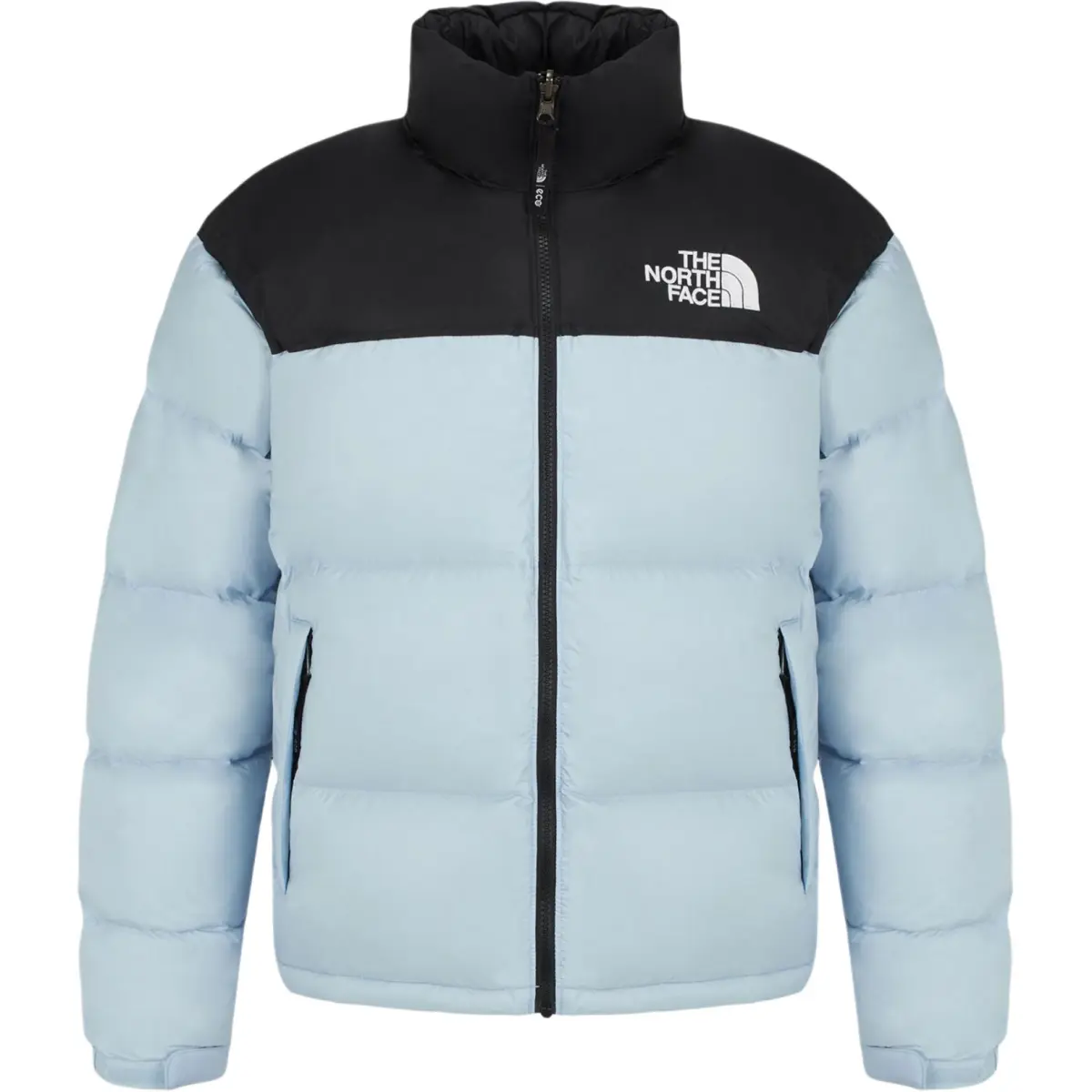 THE NORTH FACE 1996 Down Jacket Men's