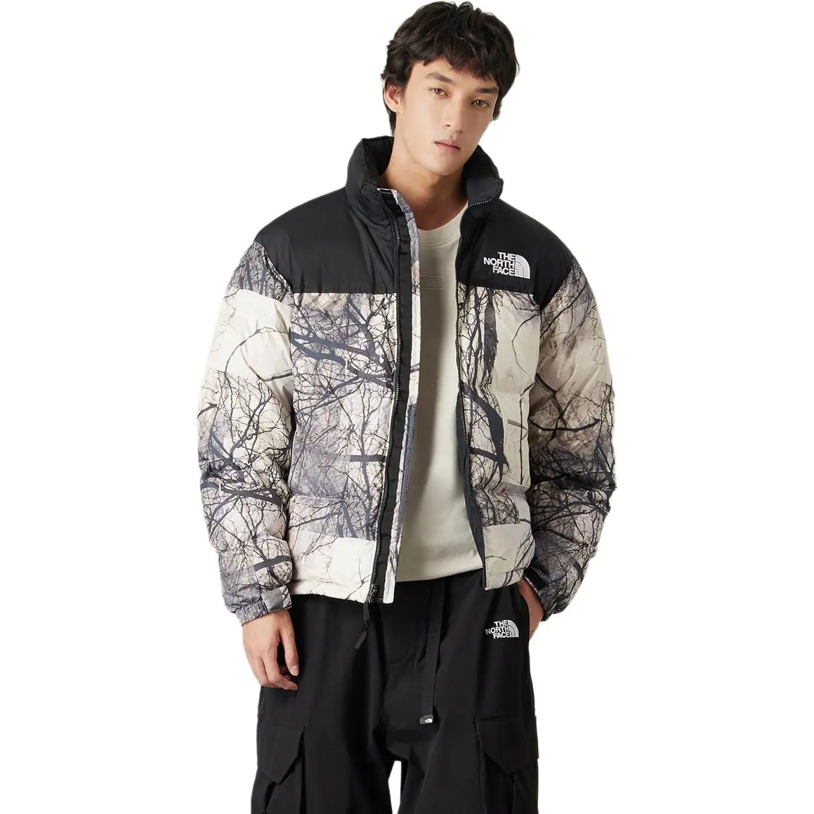THE NORTH FACE 1996 Down Jacket Men's