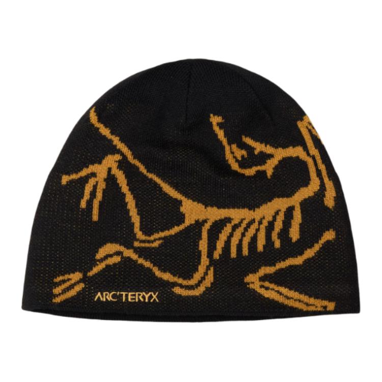 Шапка Arcteryx (черная)