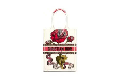 DIOR BookTote Pattern Embroidery Handbag Women's