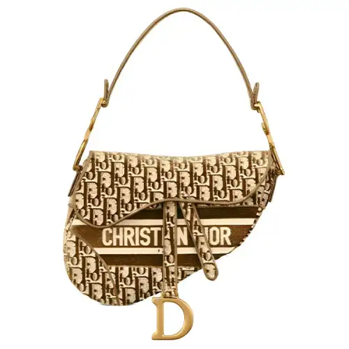 DIOR Saddle Floral Velvet Handbag, Shoulder Bag Women's Brown