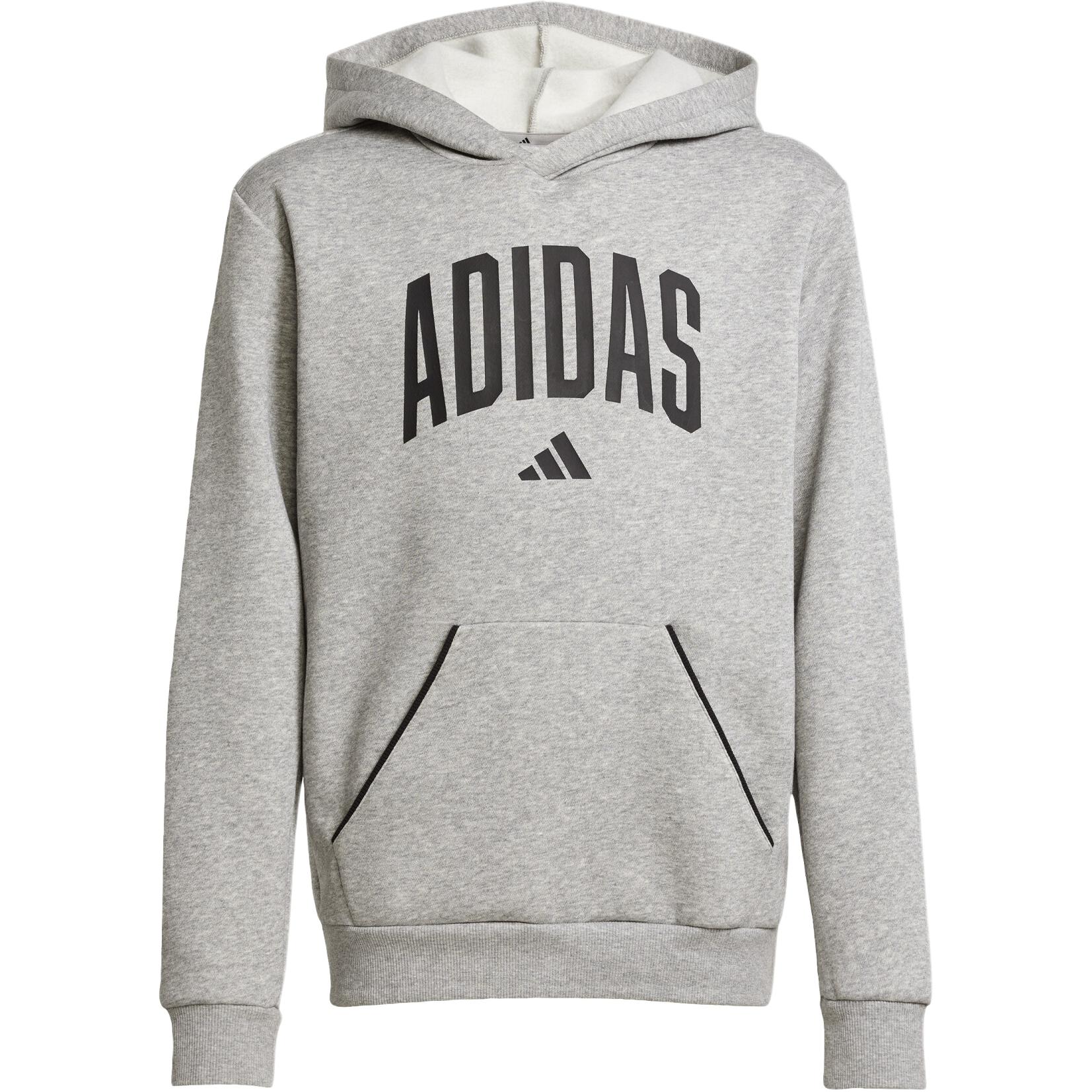 Худи adidas Essentials Collegiate Typography (синее)