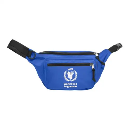 Balenciaga Embroidery Fanny Pack Unisex Blue