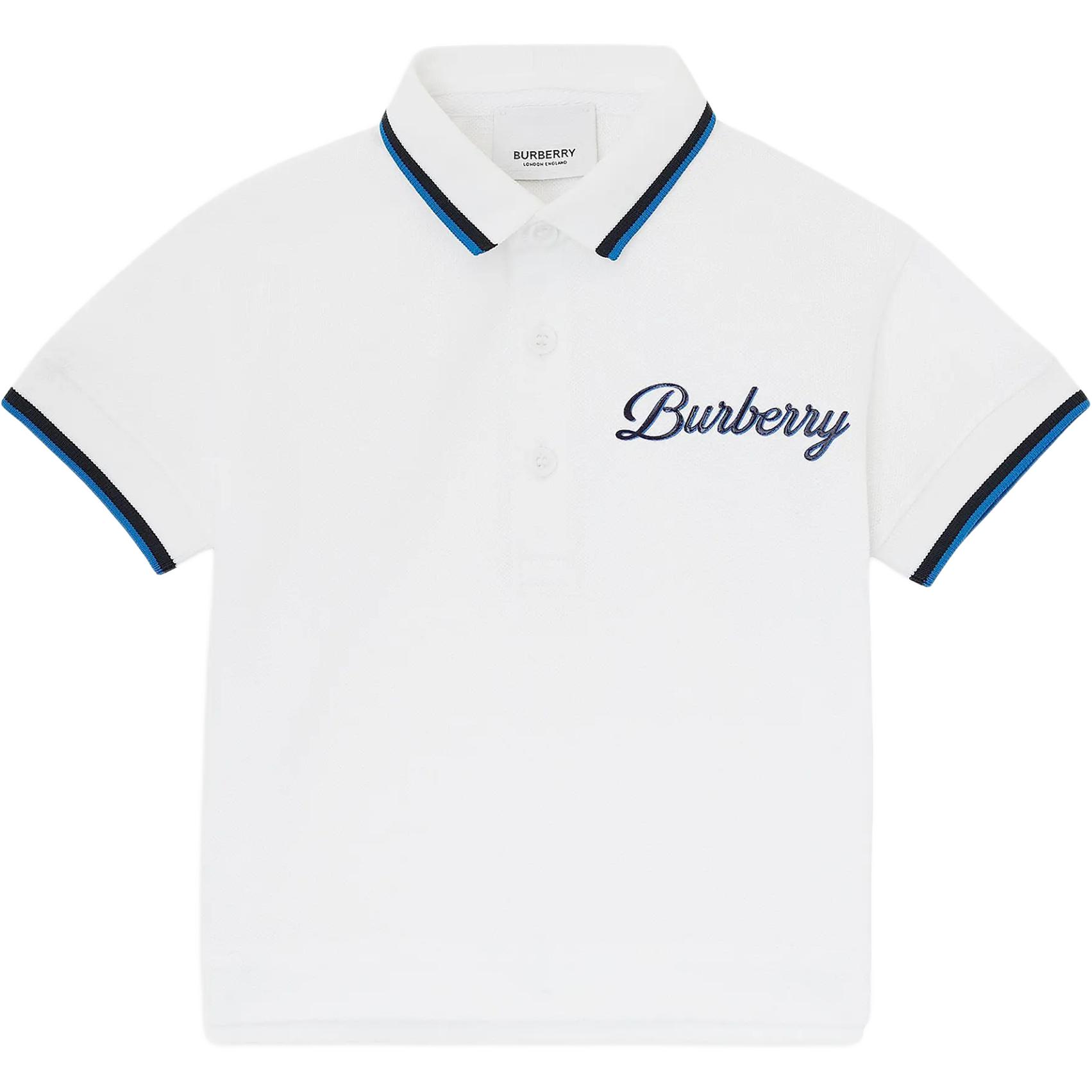 Мужская футболка Burberry (разноцветная)