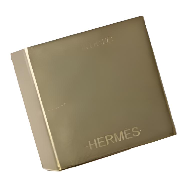 Женская пряжка для шарфа Hermes Medor (золотисто-серебристая) — фото 2