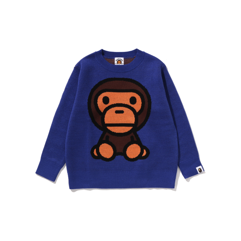 Унисекс свитер A BATHING APE (разноцветный)