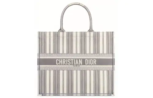 DIOR BookTote Canvas Handbag Large Women's Gray