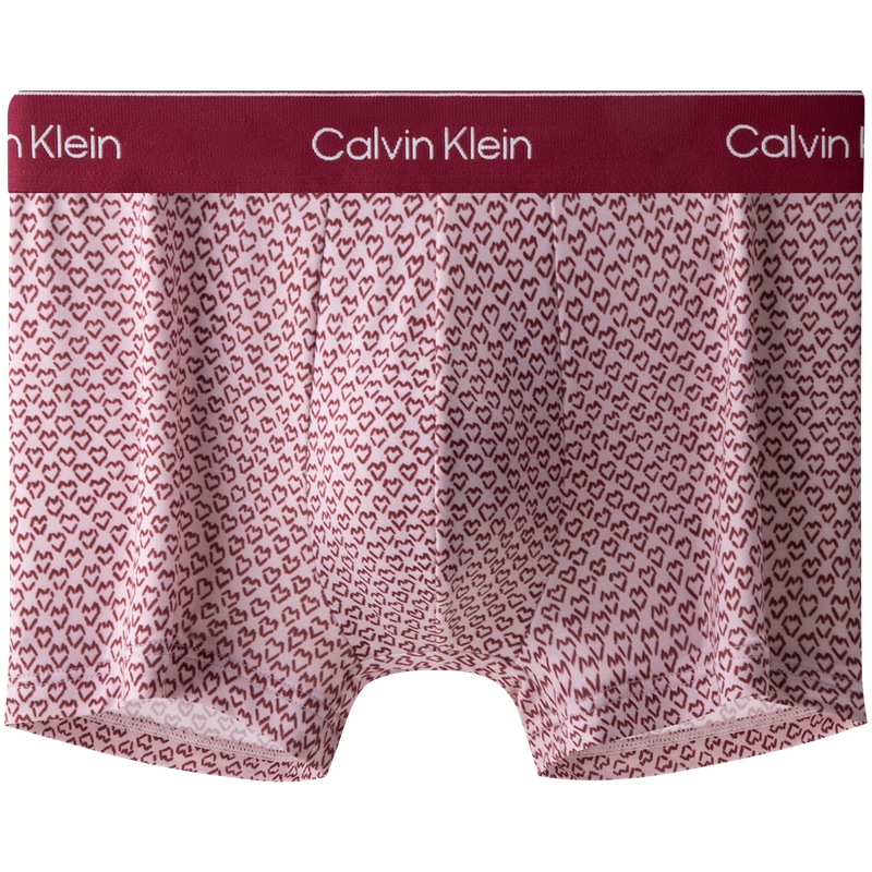 Мужские трусы CALVIN KLEIN Boxer Briefs (с принтом)