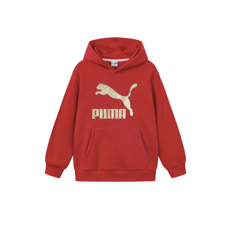 Худи PUMA PUMA Sportstyle (синее)