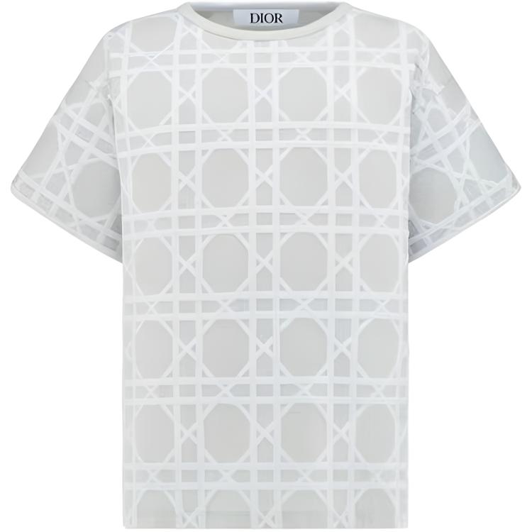 Детская футболка Dior (серая)