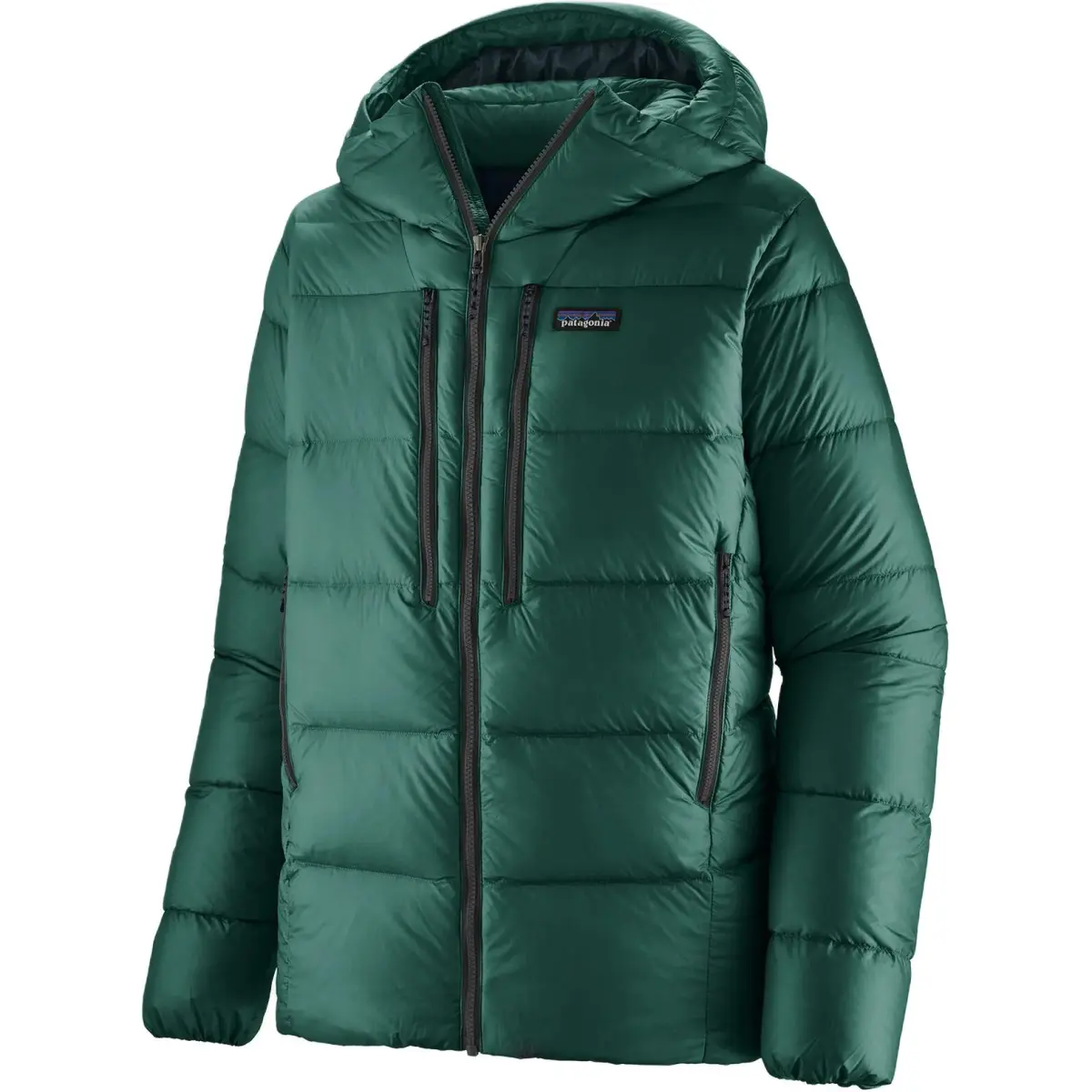 Patagonia Fitz Roy Down Jacket Men's