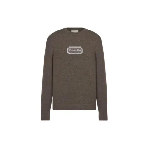 DIOR Cashmere Sweaters Men's Brown Crew Neck Moderate