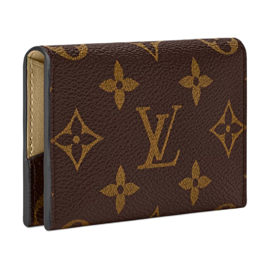 Женская сумка Louis Vuitton Slim (коричневая) — фото 2
