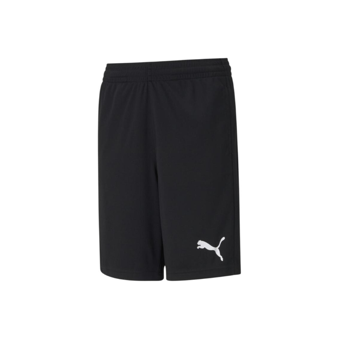 Мужские шорты PUMA Sports Shorts (фиолетовые)