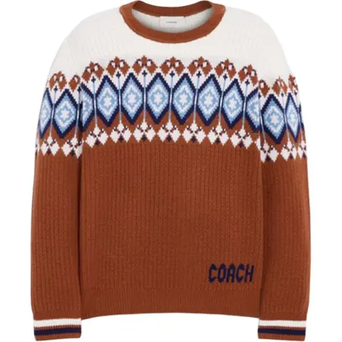 COACH Sweaters Men's Brown Crew Neck Moderate Other
