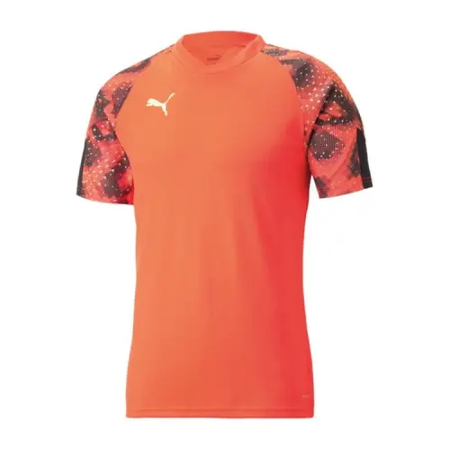 PUMA T Shirts Men's Red V Neck Moderate Straight Fit