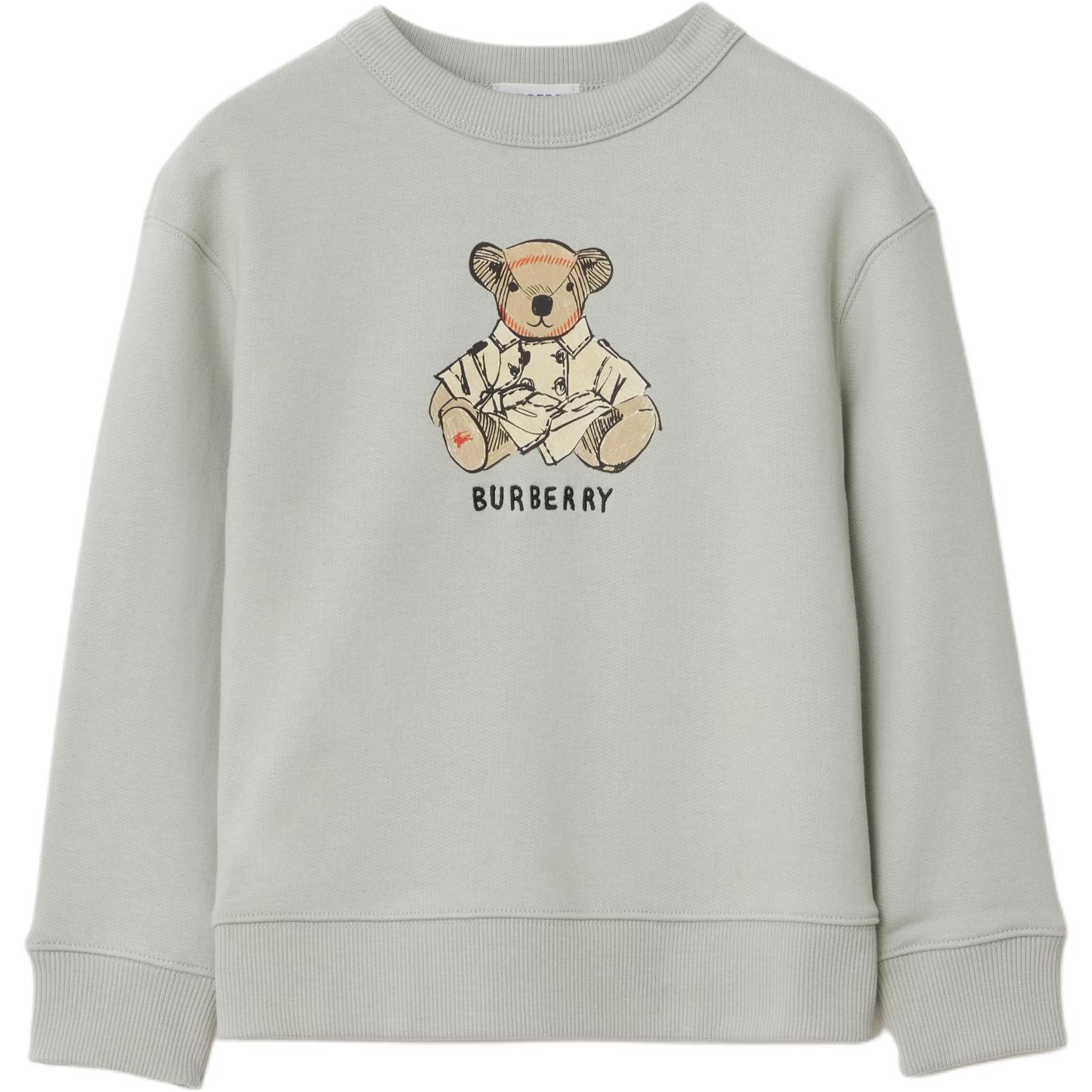 Мужское худи Burberry Teddy Bear (коричневое)