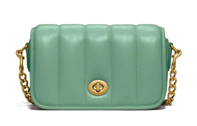 COACH Dinky Lambskin Leather Crossbody Bags Small Women's Macaron Green