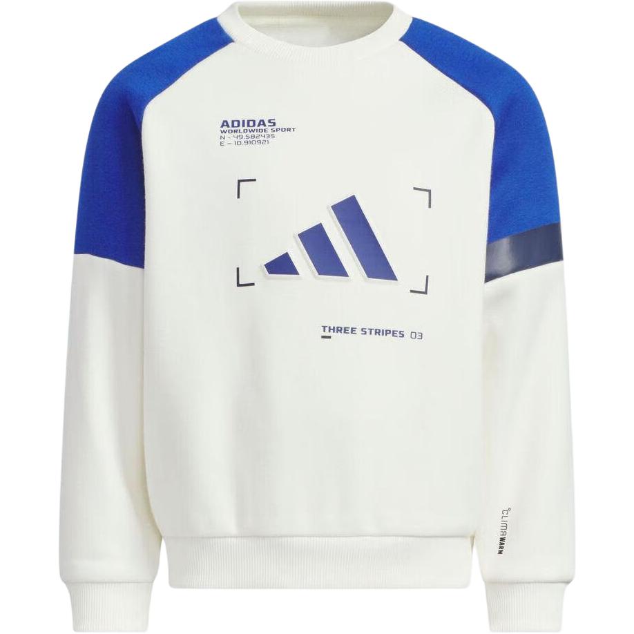 Детское худи adidas WARM CREW (разноцветное)