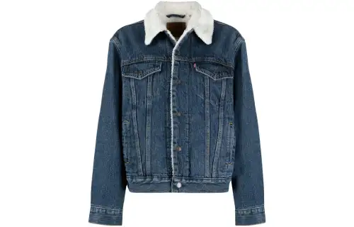 Levis Ex-Boyfriend Trucker Denim Jacket