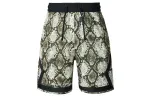 Jordan SportDri FIT Diamond FW24 Casual Shorts Men's Canvas White/Black