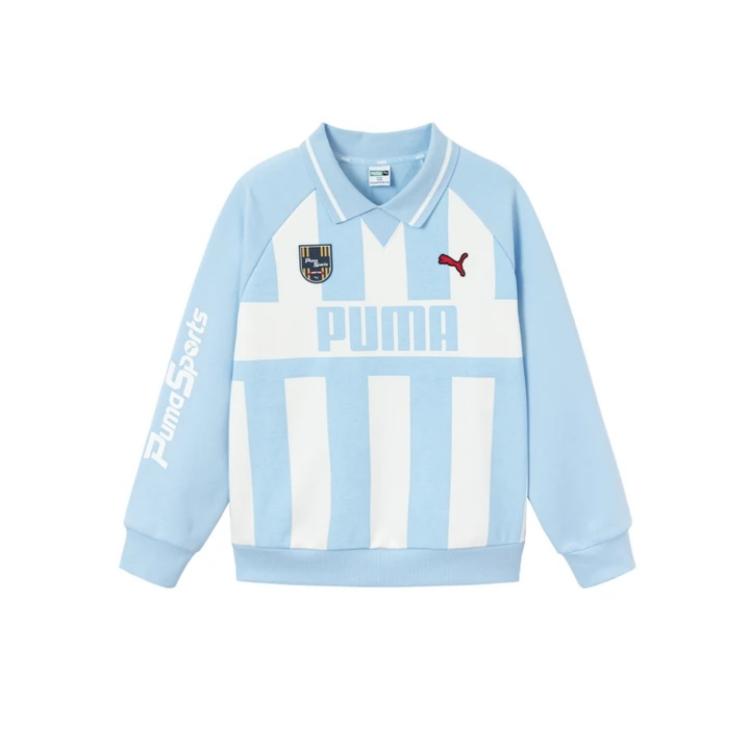Мужское худи PUMA SPORTSTYLE 00388 (синее)