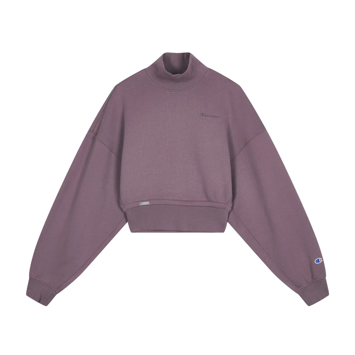 Champion Sweatshirts Women's Half-Turtleneck Thickened Straight Fit