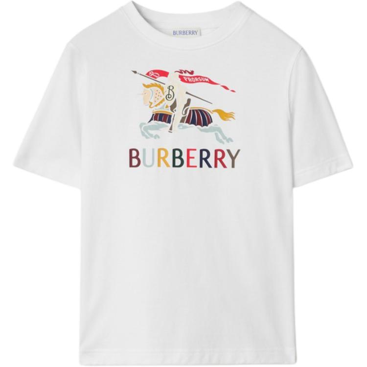 Мужская футболка Burberry FW25 (бежевая)