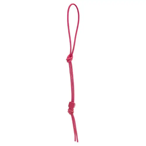 LOEWE Anagram Cow Leather & Brass Bag Straps Women's Carmine Glaze