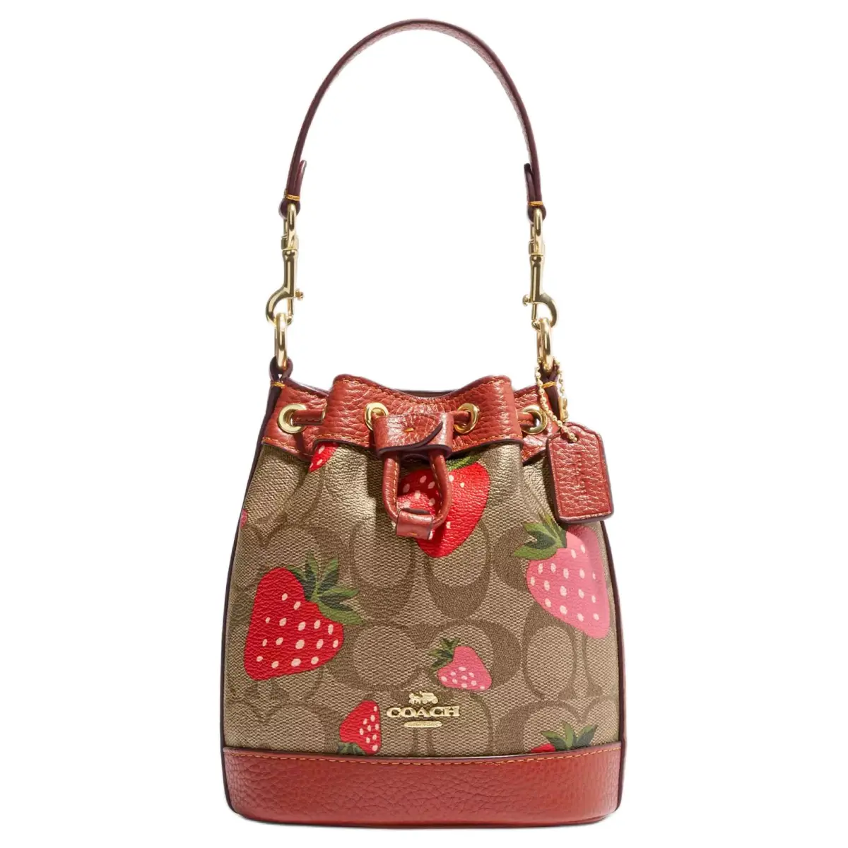COACH Dempsey Cow Leather Bucket Bag Handbag Medium Women's Red & Brown Monogram