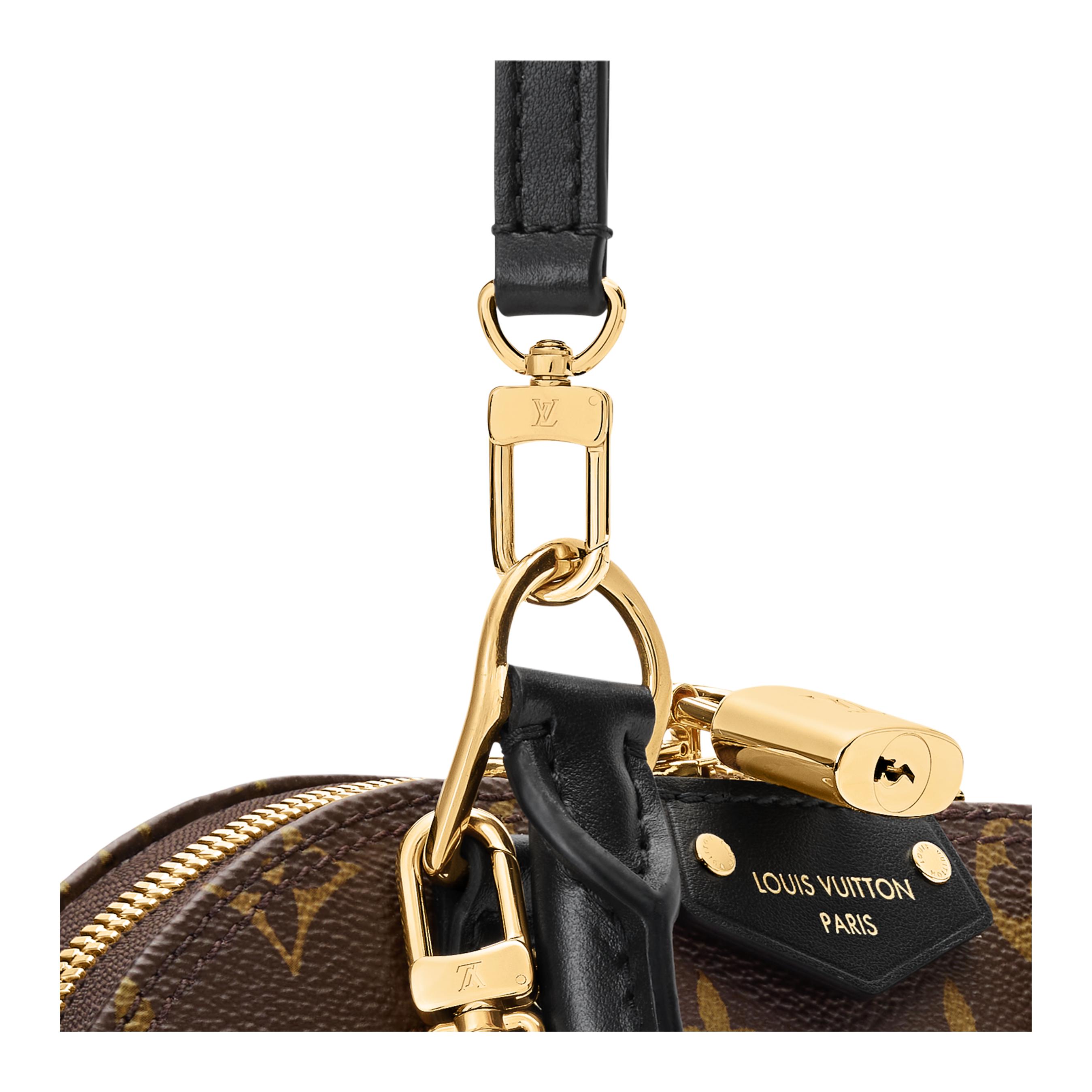 Женская сумка Louis Vuitton Alma Trunk BB (коричневая) — фото 5