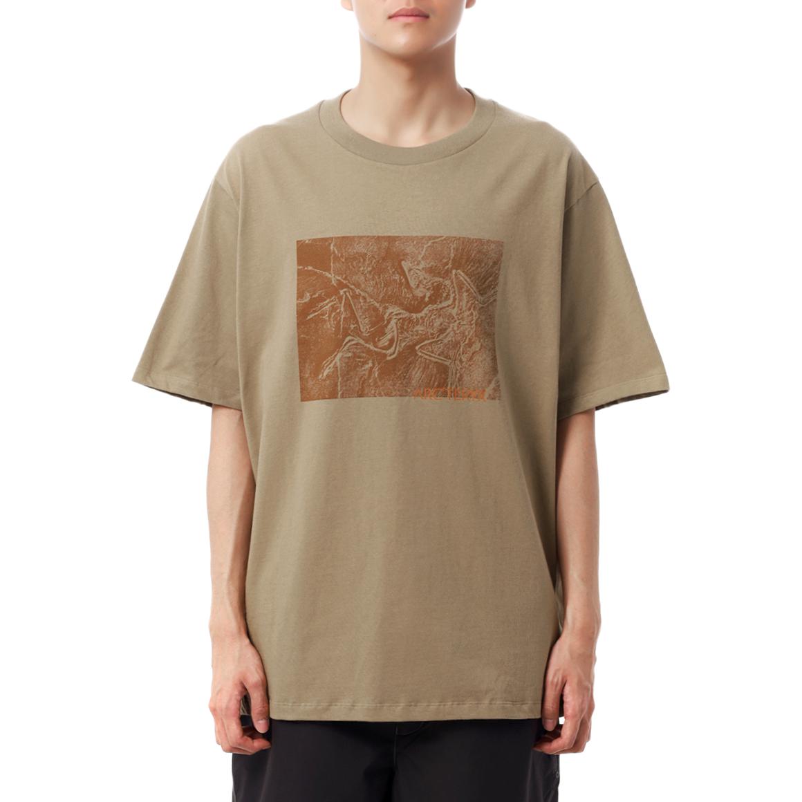Мужская футболка Arcteryx (серая)