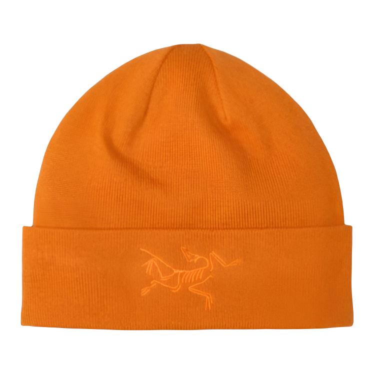 Кепка Arcteryx Cap (синяя)