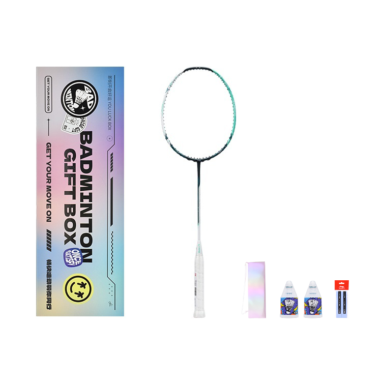 Li Ning Halberd 6000 Badminton Rackets Control Type All around Defense Professional Single Racket