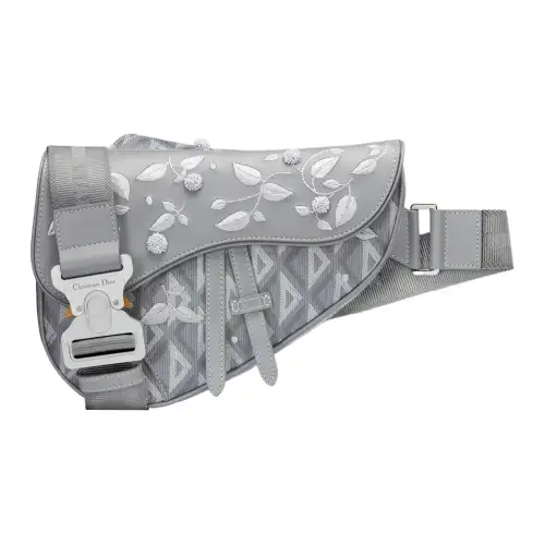 DIOR Canvas With Smooth Cow Leather And Lily Of The Valley Embroidery Crossbody Bags Men's Dior Gray