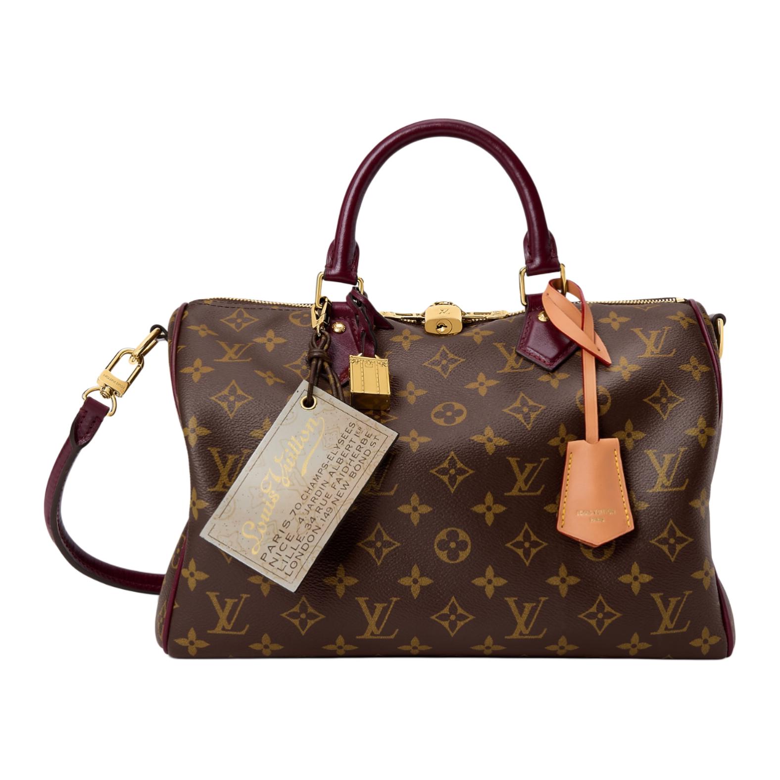 Сумка Louis Vuitton Speedy 30 SOFT CELEBRATION (коричневая)