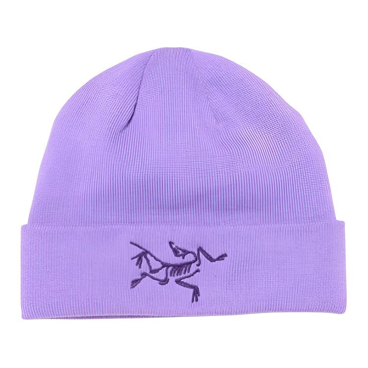 Шапка Arcteryx (фиолетовая)