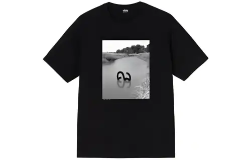 Stussy T Shirts Unisex Black Crew Neck Moderate Straight Fit
